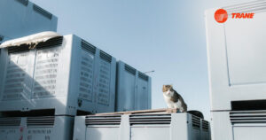 Read more about the article Chiller Service: Driving Efficiency and Reliability in Oman’s Cooling Industry