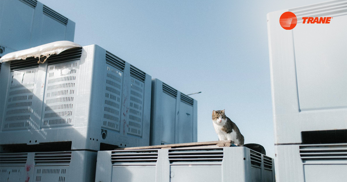 Chiller Rental Service
