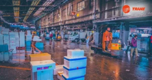 Read more about the article Meeting Cold Chain Demands: The Role of Refrigerated Containers in Oman’s Markets